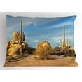 thumbnail image 1 of Cactus Pillow Sham Desert Scenery Saguaros and Boulders Catching the Day's Last Sunbeams, Decorative Standard King Size Printed Pillowcase, 36 X 20 Inches, Pale Blue Pale Brown, by Ambesonne, 1 of 2