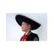 thumbnail image 2 of Luis Enrique: El Gallo de Jalisco Album musical 2013 en CD, 2 of 2