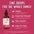 thumbnail image 4 of Suplemento de zinc iónico orgánico de fresa y limón de Mary Ruth, 120 ml, 4 of 9