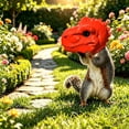 thumbnail image 5 of Secfreeship Orange Dinosaur Squirrel Feeder, Funny Hanging Animal Mask, Novelty Outdoor Yard Decor, for Garden Tree Backyard, Funny Gift for Pet Lovers, 5 of 5