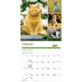thumbnail image 3 of Carousel Calendars, Cat Lovers 2025 Wall Calendar, 3 of 4