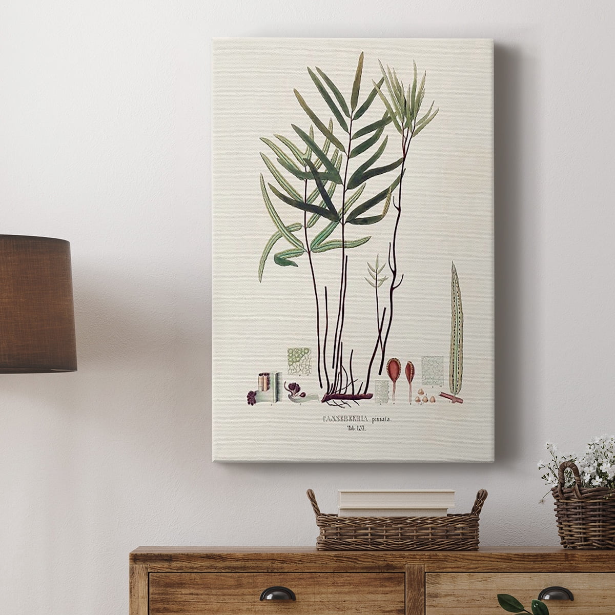 Botanical Society Ferns XI Premium Gallery Wrapped Canvas - Ready to Hang