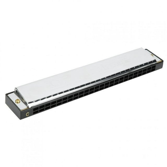 Musical Instrument 24-Hole Professional Mouthorgan, C Key Harmonica, Diatonic Harp, With Case Entertainment For Home Black