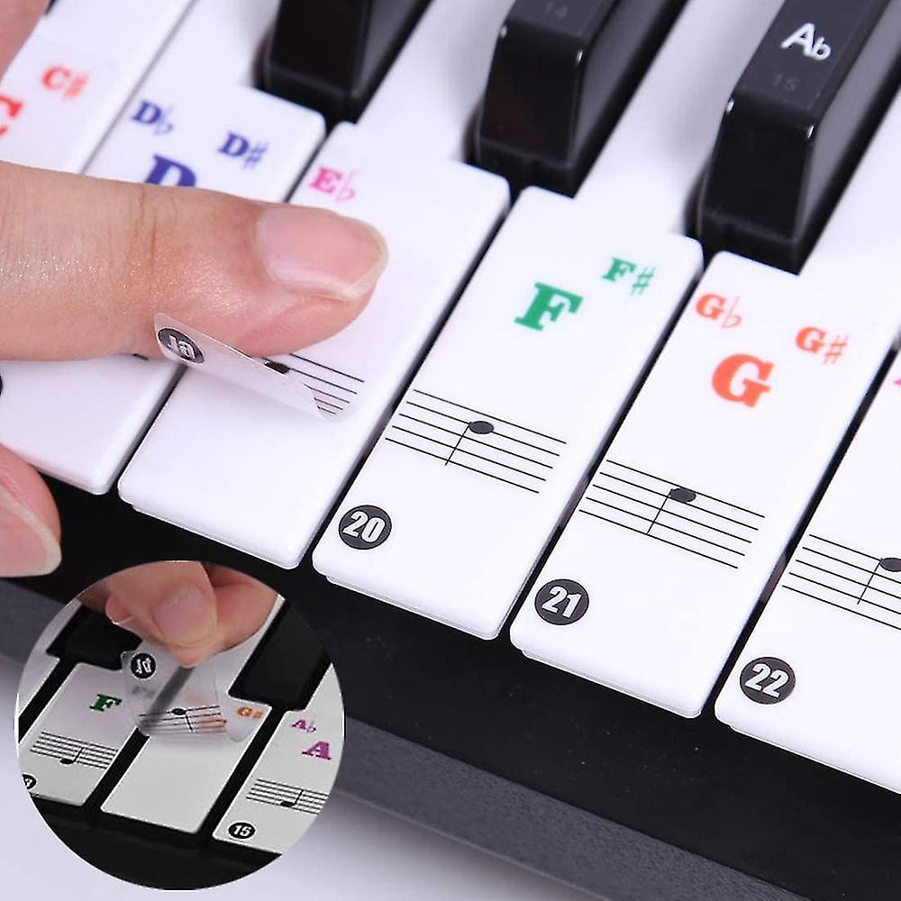 Pegatinas de piano de colores para teclados de 88/76/61/54/49/37 teclas ...