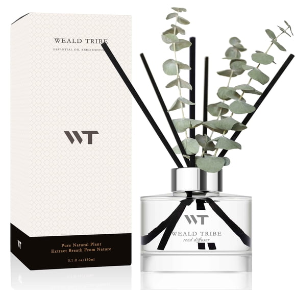 Set difusor Reed WEALD TRIBE con aroma a eucalipto silvestre y menta