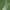 Army Green, variant on CaiJunJia George Men's Summer Solid Color Lightweight T Shirts Breathable Quick Drying Short Sleeve Tee