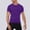 Purple, variant on Dianli Workout Training Men's Solid Color Raglan Sleeve Short Sleeve Round Neck Training Shirt Tight-Fit Quick-Dry Breathable Stretch Athletic Tee for Running Gym Activewear