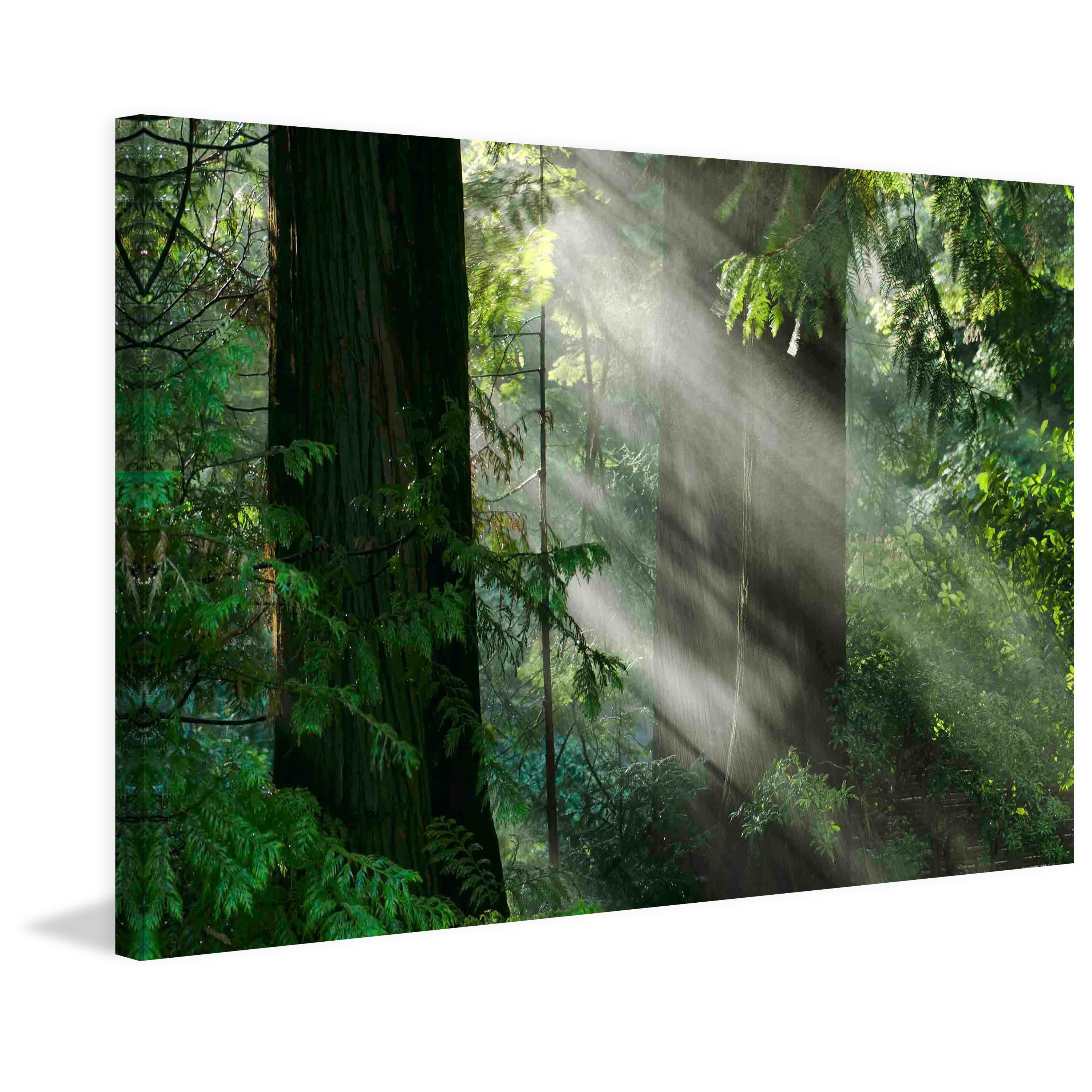 Marmont Hill "Light Through the Trees" Painting Print on Canvas