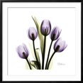 thumbnail image 2 of Art.com Purple Tulip Square Premium Giclee Print by Albert Koetsier, Black Frame Wall Art, 29" x 29", 2 of 5