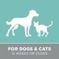 thumbnail image 7 of Groomer Essentials Keratin Shampoo - 1 Gallon - Midnight Rain Fragrance - Formulated With A Hydrolyzed Protein Which Repairs Damaged Coats - 16:1 Dilution, 7 of 7