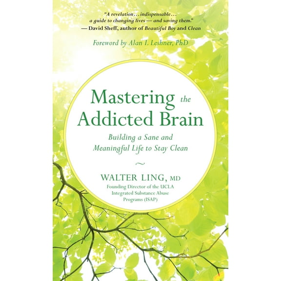Pre-Owned Mastering the Addicted Brain: Building a Sane and Meaningful Life to Stay Clean (Paperback) 1608685004 9781608685004
