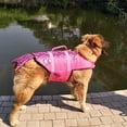 thumbnail image 2 of Chaleco salvavidas para perros, ajustable, antidesgarros, con fuerte flotabilidad y asa de rescate duradera. Ideal para perros medianos, natación, navegación, color rosa., 2 of 5