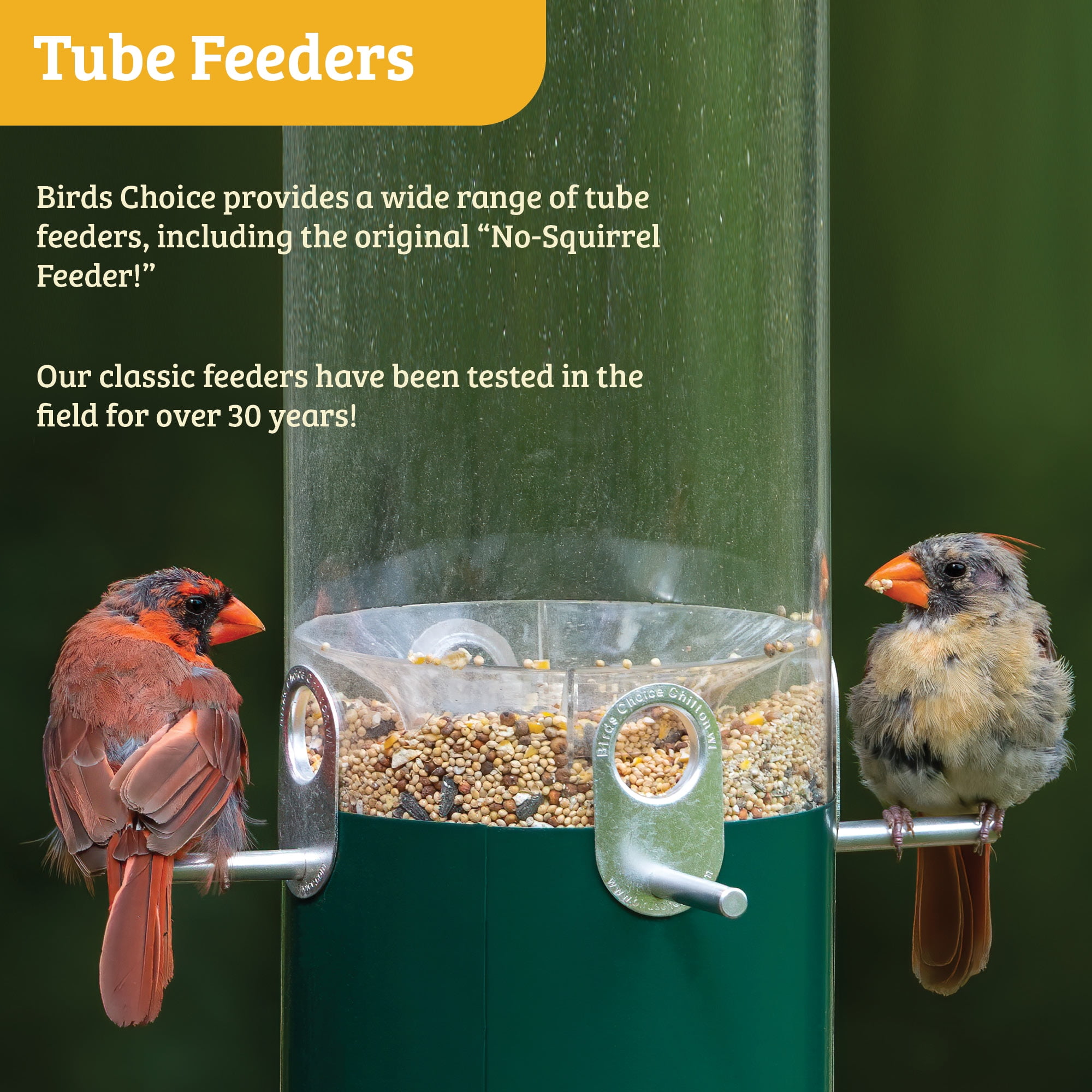 Birds Choice 12" Classic Hanging Bird Feeder with Baffle Weather Guard, Green