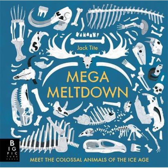 Pre-Owned Mega Meltdown (Hardcover) 178370831X 9781783708314