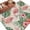 Beige, variant on Pink Flamingo Area Rug 4x6 Washable Rug Non Slip Farmhouse Summer Tropical Palm Leaves Floral Large Area Rug Indoor Carpet for Entryway Bedroom Kitchen Living Room Home Office Dining Room Nursery