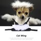 thumbnail image 4 of Alas de plumas para mascotas de Halloween, ángel de demonio ligero para cachorro, gatito (blanco M) Likrtyny Para estrenar, 4 of 9