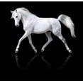 thumbnail image 1 of Wallmonkeys White Horse Runs Trot Isolated on Black Peel and Stick Wall Decals WM325261 (24 in W x 23 in H), 1 of 4