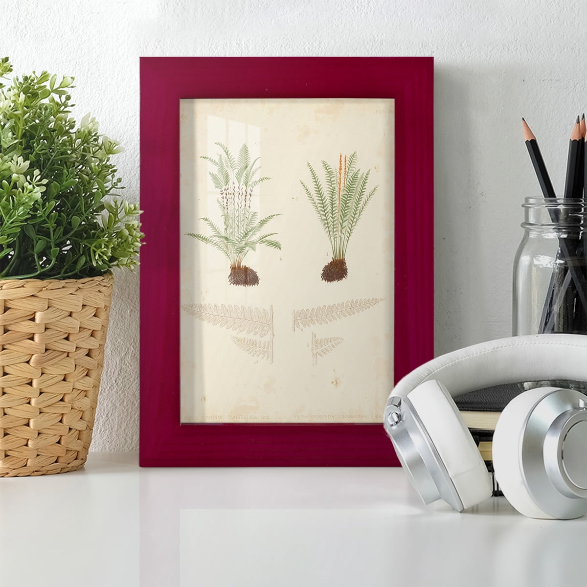 Fern Study III -Framed Print w/glass-Cherry Red
