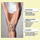 thumbnail image 3 of Care Cream With Bee-venom Mild Ingredients Pain Relieve Massage Cream For External Use, 3 of 5