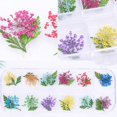 thumbnail image 1 of Conjunto de flores secas para manicura, Set de 300 colores de uñas artísticas de forma mixta con botella, flor seca 3D, uñas de Gel UV japonesas, puntas de manicura, ZCFD encantador, 1 of 4