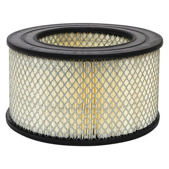 BALDWIN FILTERS PA1916 Air Filter,9-3/4 x 5-13/32 in.