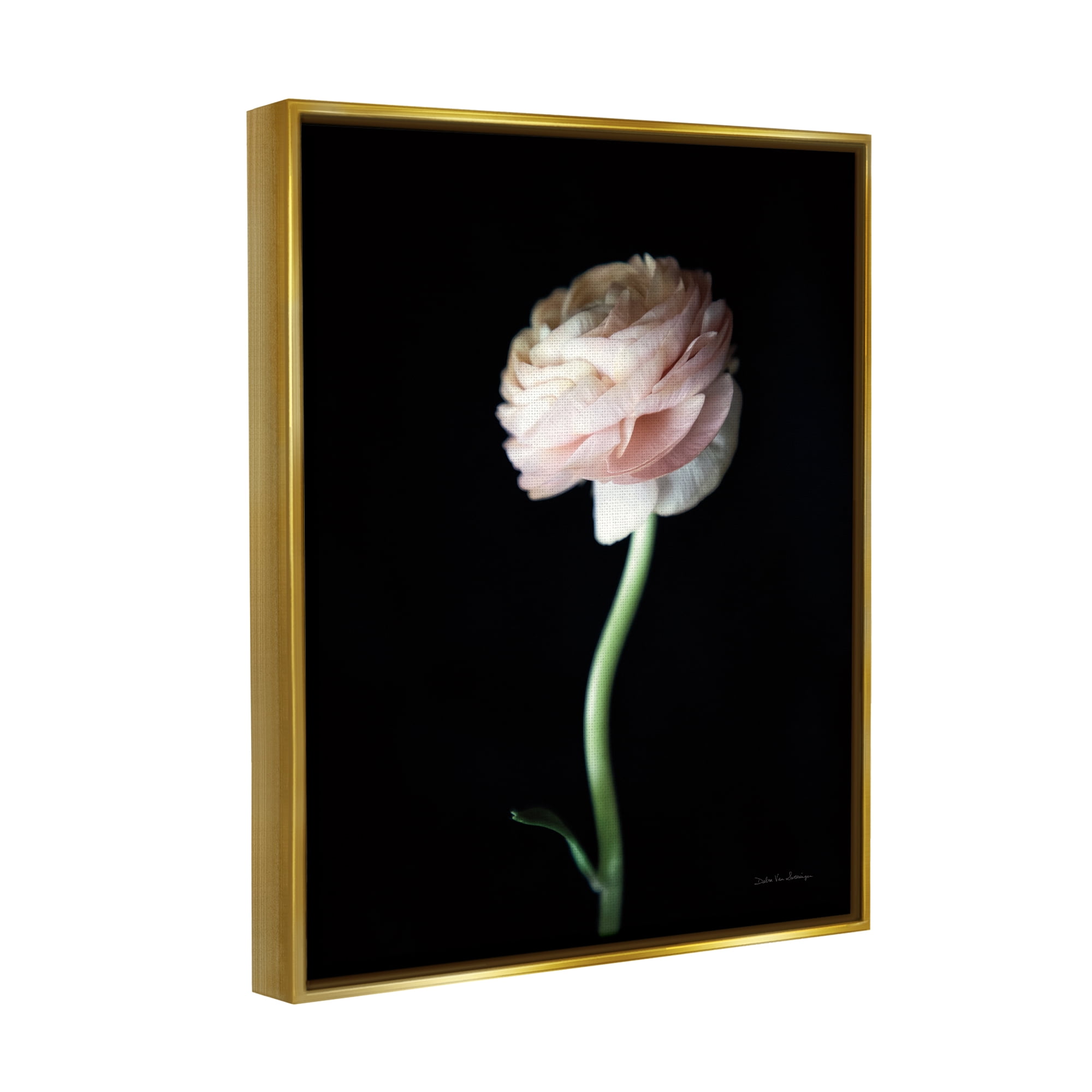 Stupell Industries Ranunculus Flower Photography Botanical & Floral Photography Gold Floater Framed Art Print Wall Art, 17 x 21