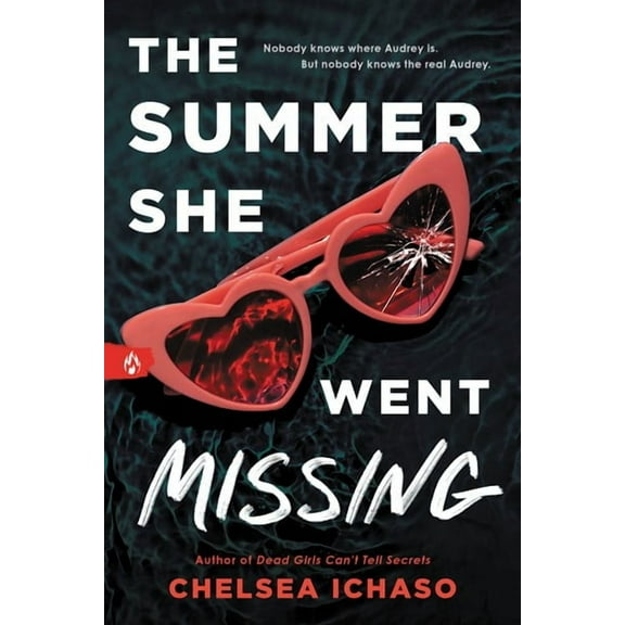 The Summer She Went Missing (Paperback)