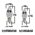 thumbnail image 4 of Novelty Lights 25 Foot C9 Twinkle Outdoor Patio Christmas String Light Set, Purple, Brown Wire, 25 Bulbs, 4 of 5