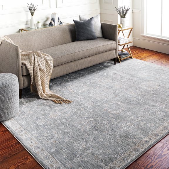 Livabliss Area Rugs for Living Room, 5x7 Avant Garde Traditional Gray Rug, Bedroom Dining Room Home Decor Stain Resistant Carpet (5' x 7'5")