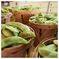 thumbnail image 3 of Everwilde Farms - 1/4 lb King of the Garden Lima Pole Bean Seeds - Gold Vault Bulk Seed Packet, 3 of 3