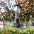 thumbnail image 3 of Perky-Pet Black 2-in-1 XL Tube Feeder, 3 of 8