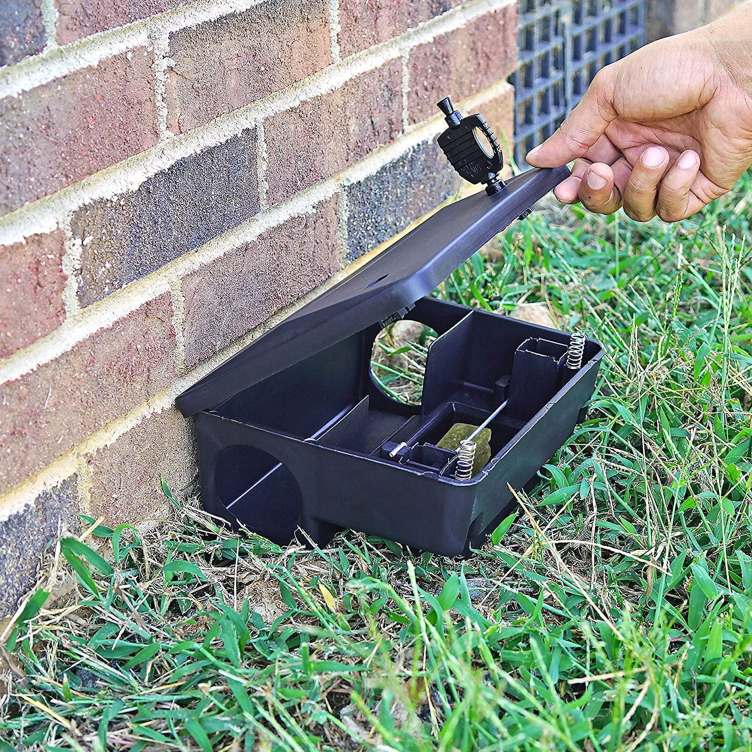 Professional Rodent Rat Trap Discreet Bait Station Box & Pasta