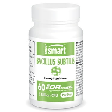 SuperSmart Bacillus Subtilis – 3 Billion CFU Per Day (High Potency) | Spore Probiotic – Non-GMO & Gluten-Free - 60 DR Capsules