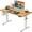 Light Vintage Brown, variant on CHITOOMA Electric Standing Desk, 44 x 24 Inches Height Adjustable Stand up Desk, Sit Stand Home Office Desk, with Two-Piece Desktop (White)