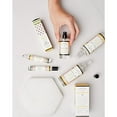 thumbnail image 5 of Good Chemistry Queen Bee Rollerball Perfume, 5 of 5