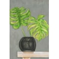 thumbnail image 2 of Goldberger, Jennifer 23x32 Black Ornate Wood Framed with Double Matting Museum Art Print Titled - Frond in Vase I, 2 of 4
