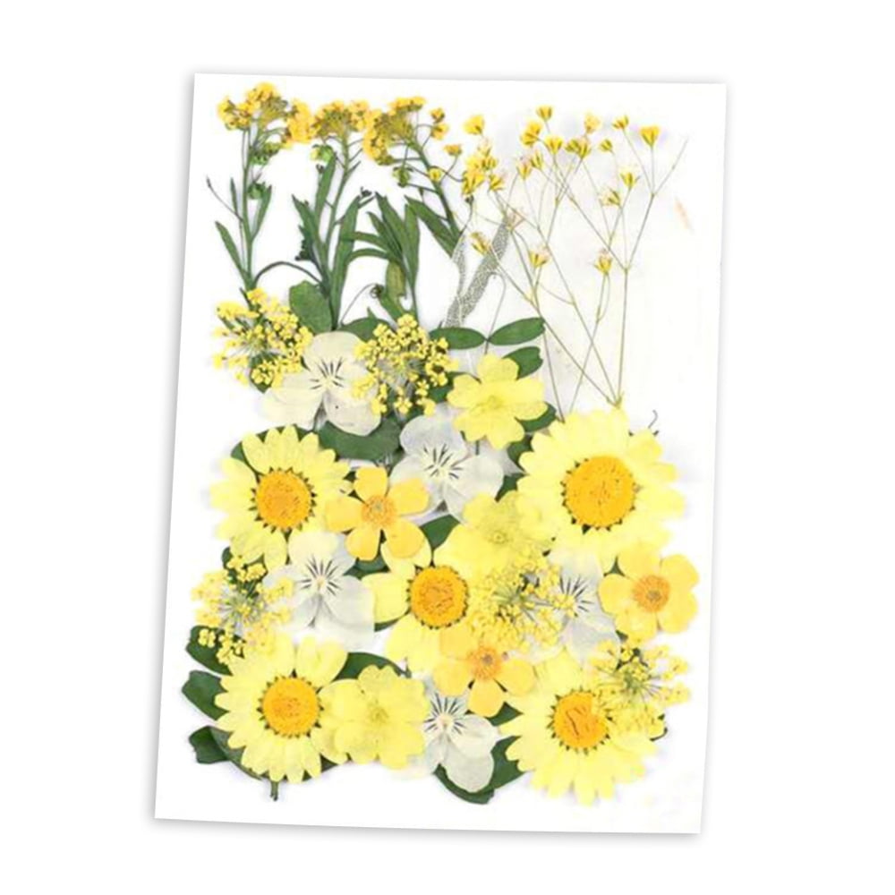 Dried Pressed Flowers Combination for Resin Art Craft DIY VacuumPacked