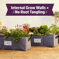 thumbnail image 6 of BTTR RAISED BED, 6 of 9
