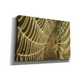 thumbnail image 2 of Epic Graffiti 'The Spider and Her Jewels' by Martin Podt, Canvas Wall Art, 26"x18", 2 of 3