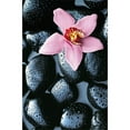 thumbnail image 1 of Brewster Home Fashions DM666 Stone Orchid Wall Mural - 69 in., 1 of 1