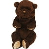 FRR COL DK BRN BEAR