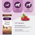 thumbnail image 5 of Amber NaturalZ TYD Thyroid Balance for Pets| Herbal Pet Supplement for Thyroid Health 1oz, 5 of 7