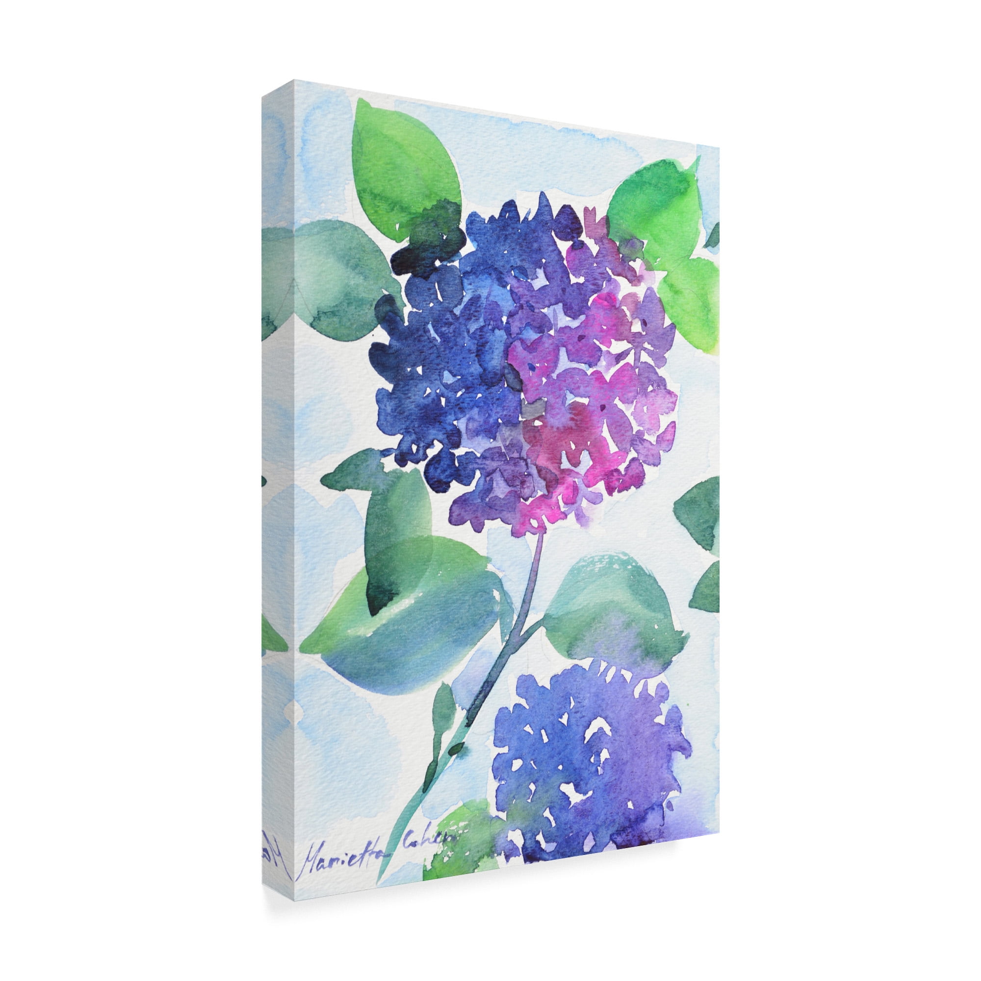 Trademark Fine Art 'Watercolor Hortensia 1' Canvas Art by Marietta Cohen Art And Design