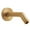 Brushed Bronze, variant on Speakman, Satin Brass S-2540-AB Neo 7 in. Shower Arm and Flange