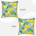 thumbnail image 3 of Kll Lemon Decorative Throw Pillow Covers Velvet Soft For Couch Sofa Bedroom Living Room Outdoor -20"X20", 3 of 8