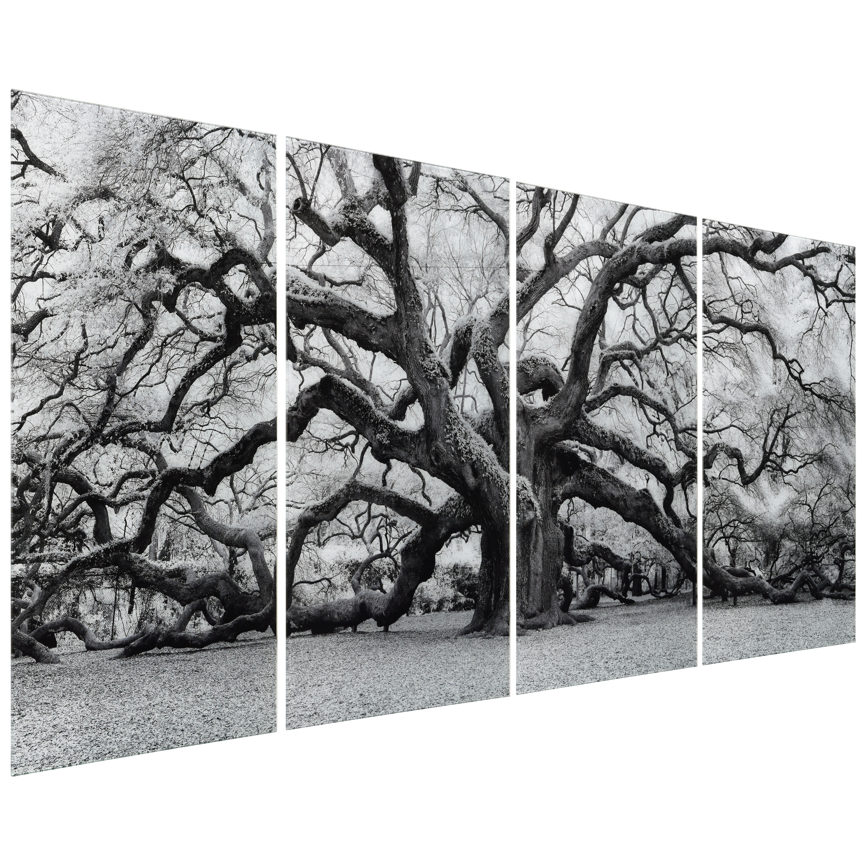 Growth ABCD 36 in x 72 in Mixed Media Art, by Empire Art 4 Count