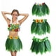 thumbnail image 1 of Falda de hojas de imitación para niños y adultos, falda de hojas, falda decorativa para fiestas en la playa, para actuaciones, hawaianas, 1 of 8
