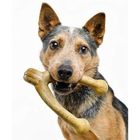 UPC: 0850000085909 | Pet Qwerks Wish BarkBone – For Aggressive Chewers Peanut Butter Size L