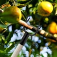 thumbnail image 4 of Branch Support Metal Fruit Tree Branch Crutch - 8 Pcs Support Device Tree Leaning Straightening Kit Propping Up Branch Spreader Garden, 4 of 8