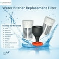 thumbnail image 3 of Nispira Regular Water Filter Replacement for Seychelle Gen 2 Dual pH2O Water Pitcher Removes Lead, Odor, Color, Reduce Chlorine, Water Hardness, 2 Set, 3 of 9